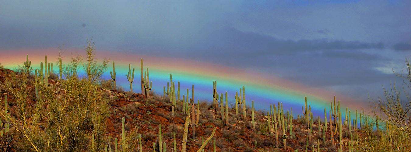 Visual Storytelling for Tucson Small Business Websites