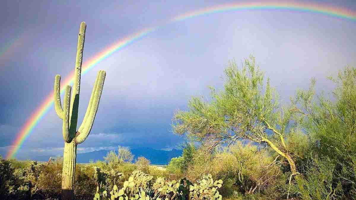 Visual Storytelling for Tucson Small Business Websites